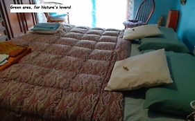 Room Country-Lake