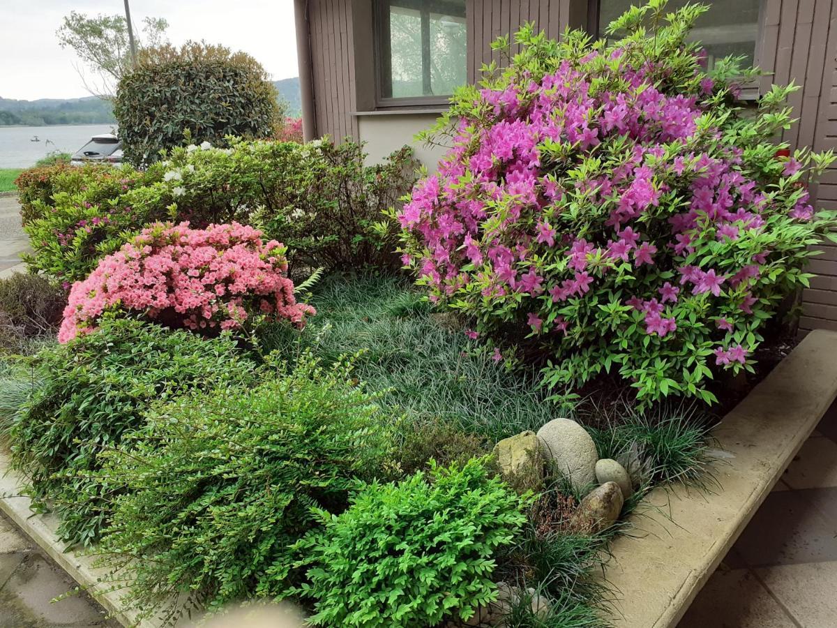 Room Country-Lake Dormelletto Exterior photo